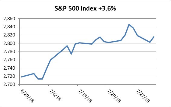 S&P 500 +3.6%